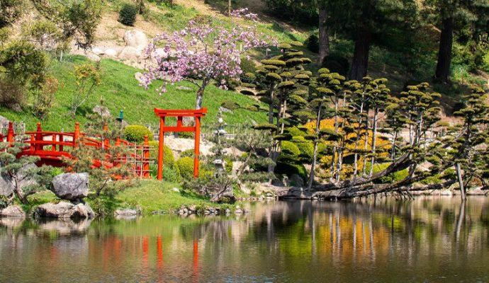 Réouverture du Parc oriental de Maulévrier ce samedi 8 mai