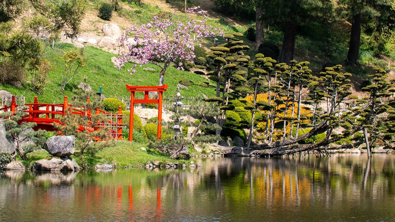 Parc oriental de Maulévrier