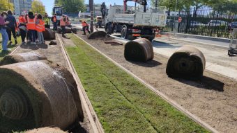 Un nouveau système d’arrosage mis en place sur la nouvelle ligne de tramway à Belle-Beille