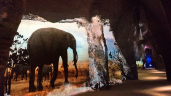 A Doué-la-Fontaine, le Mystère des Faluns retrouve le public dès le mercredi 19 mai