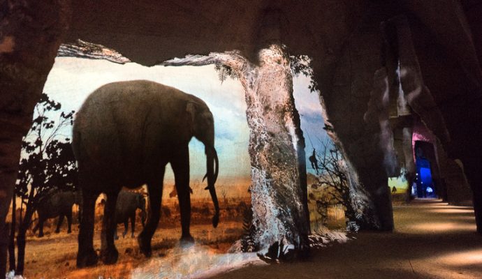 A Doué-la-Fontaine, le Mystère des Faluns retrouve le public dès le mercredi 19 mai