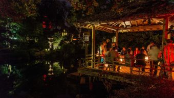 A partir du 1er juillet, le Parc oriental de Maulévrier lance ses promenades de nuit