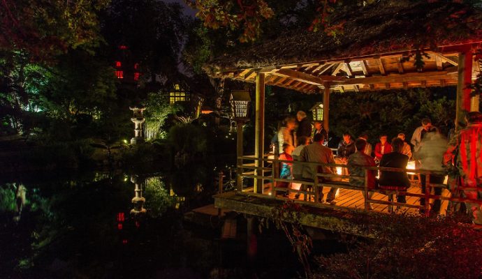 A partir du 1er juillet, le Parc oriental de Maulévrier lance ses promenades de nuit