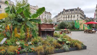 Un jardin éphémère sur la place du Ralliement pendant tout l’été