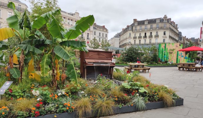 Un jardin éphémère sur la place du Ralliement pendant tout l’été