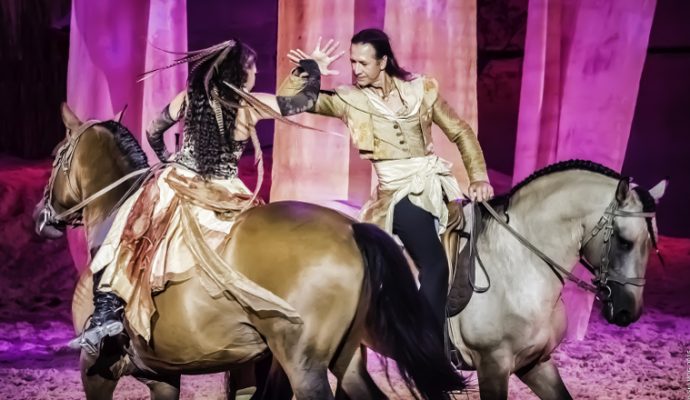 La billetterie de la 5e édition du Salon du cheval d’Angers est ouverte