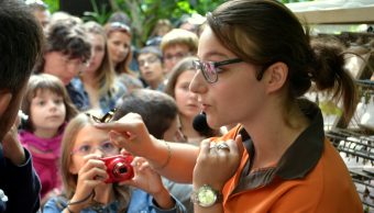 Terra Botanica recrute plus d’une trentaine de paysagistes et animateurs pédagogiques