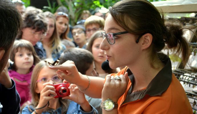 Terra Botanica recrute plus d’une trentaine de paysagistes et animateurs pédagogiques