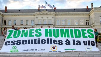 Des zones humides « épargnées » dans l’agglomération : le collectif Justice climatique se dit soulagé