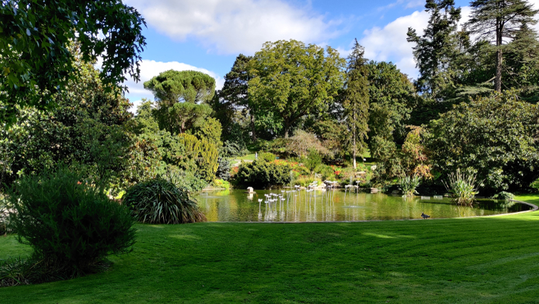 Jardin des plantes