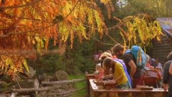 6ème édition de la Fête de l’automne à Terra Botanica du 23 octobre au 7 novembre