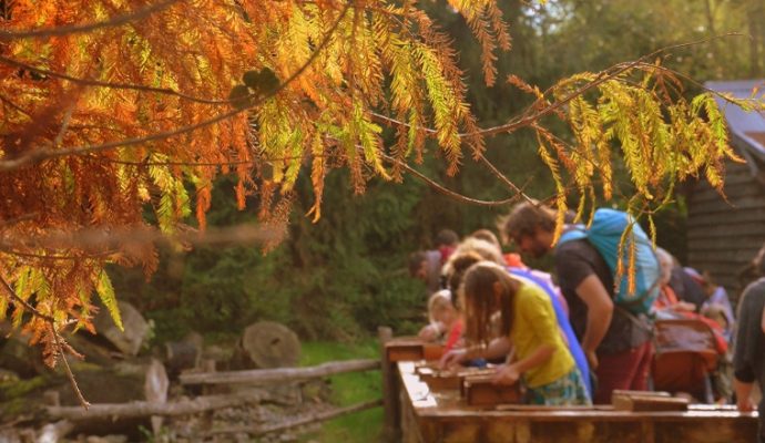 6ème édition de la Fête de l’automne à Terra Botanica du 23 octobre au 7 novembre