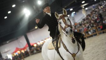 Une fréquentation record pour la 5e édition du Salon du cheval