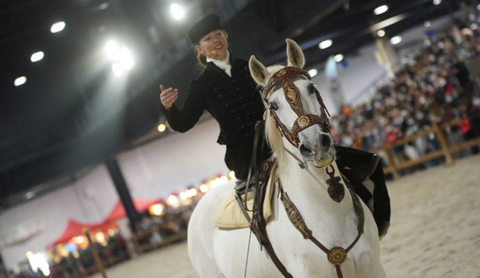 Une fréquentation record pour la 5e édition du Salon du cheval