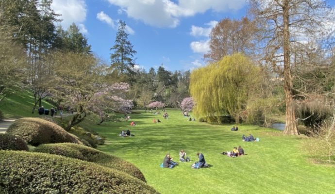 Le Parc oriental de Maulévrier rouvrira le 12 mars avec une fête traditionnelle nippone