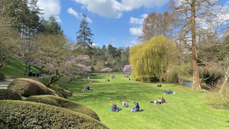 Parc oriental de Maulévrier