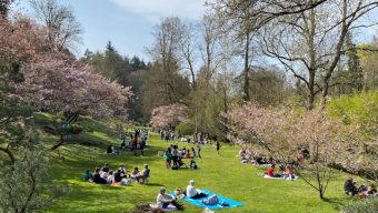 Pour sa réouverture, le Parc oriental de Maulévrier bat des records de fréquentation