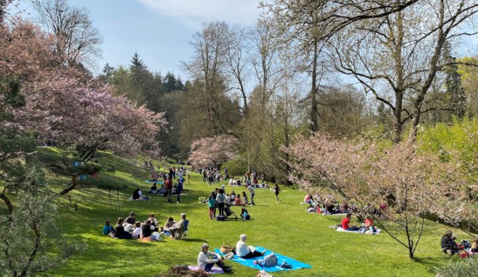 Pour sa réouverture, le Parc oriental de Maulévrier bat des records de fréquentation