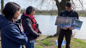 De nombreux rendez-vous pour découvrir la nature et la biodiversité du Maine-et-Loire