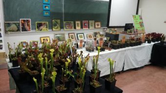 Un salon sur les plantes exotiques organisé à l’Istom les 26 et 27 mars prochains