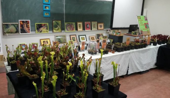 Un salon sur les plantes exotiques organisé à l’Istom les 26 et 27 mars prochains