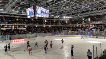 Hockey sur glace : le calendrier des Ducs d’Angers dévoilé