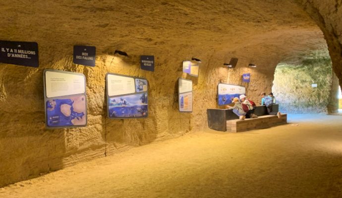 Le falun au cœur d’une nouvelle exposition proposée par le Bioparc de Doué-la-Fontaine