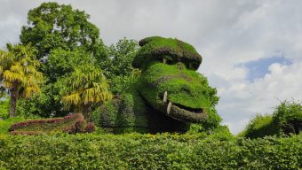 La plus grande mosaïculture de France prend ses quartiers à Terra Botanica