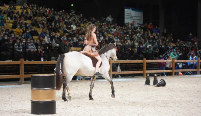 Le Salon du cheval fait son retour à Angers pour sa septième édition