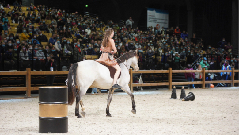 Salon Cheval Angers