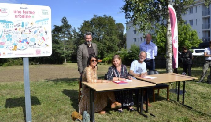 Une ferme urbaine voit le jour dans le quartier de Belle-Beille