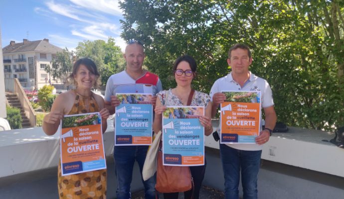 Les filières viticole et arboricole recrutent dans le Maine-et-Loire