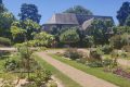 Jardin des plantes - plantes - fleurs