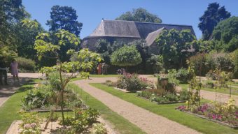 Un été sous le signe du végétal à Angers