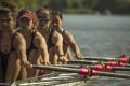 Angers Nautique Aviron - rameuses