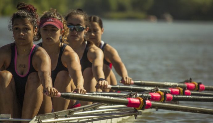 Angers Nautique Aviron ouvre ses portes ce dimanche