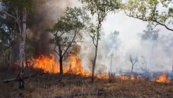 Incendie à Baugé : un jeune sapeur-pompier arrêté et jugé