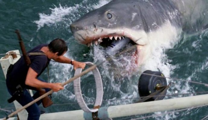 Le film « Les dents de la mer » diffusé à la piscine de la Roseraie