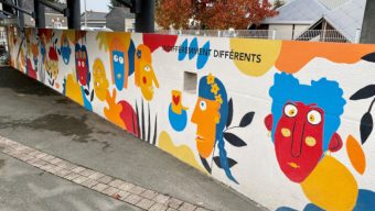 Une fresque contre le harcèlement scolaire réalisée au collège Felix Landreau à Angers