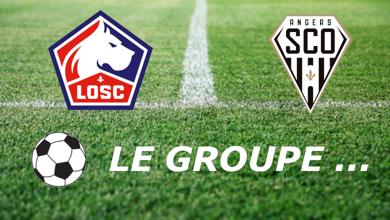 LeGroupe_Losc_Angers