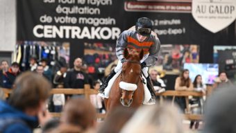 Le Salon du cheval a connu un record de fréquentation