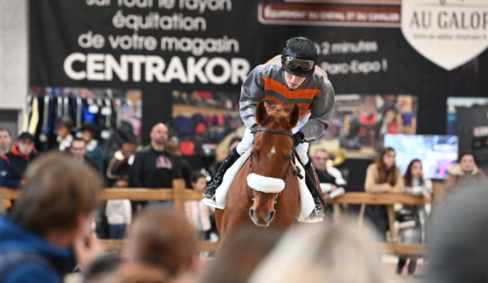 Le Salon du cheval a connu un record de fréquentation