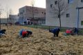 Plantation miniforêt urbaine Hauts-de-Saint-Aubin