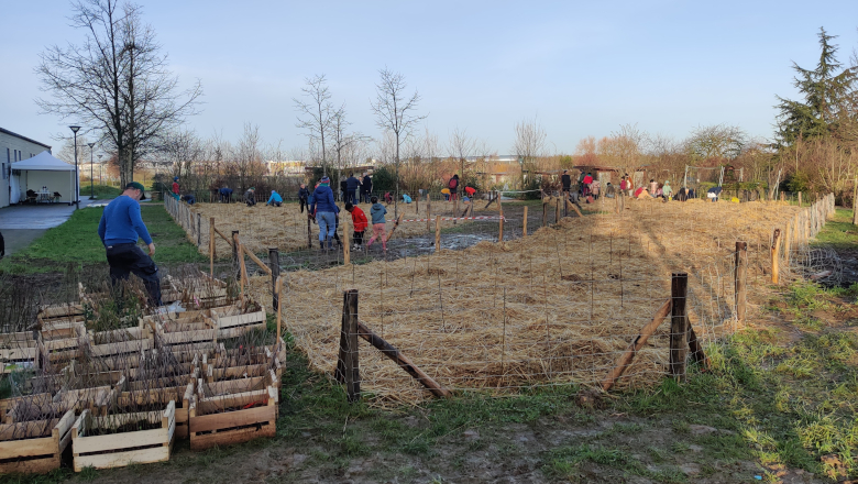 Plantation miniforêt urbaine Hauts-de-Saint-Aubin