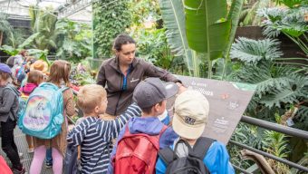 Terra Botanica organise un job dating le 17 janvier pour recruter 140 personnes