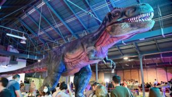 Des dinosaures grandeur nature seront à découvrir au Parc des expositions