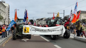 La loi Duplomb comporte « de réelles et graves entraves à l’agriculture » selon la Confédération paysanne de Maine-et-Loire