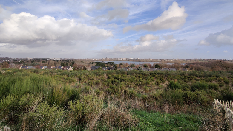 Forêt urbaine de Grézillé