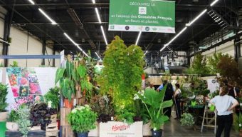 Le Salon du végétal de retour du 11 au 12 septembre à Angers