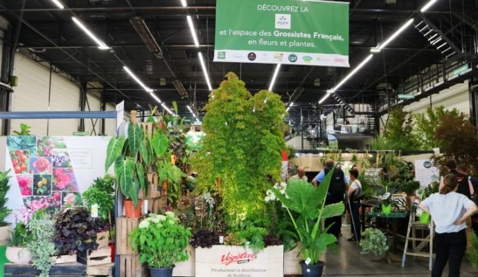 Le Salon du végétal de retour du 11 au 12 septembre à Angers